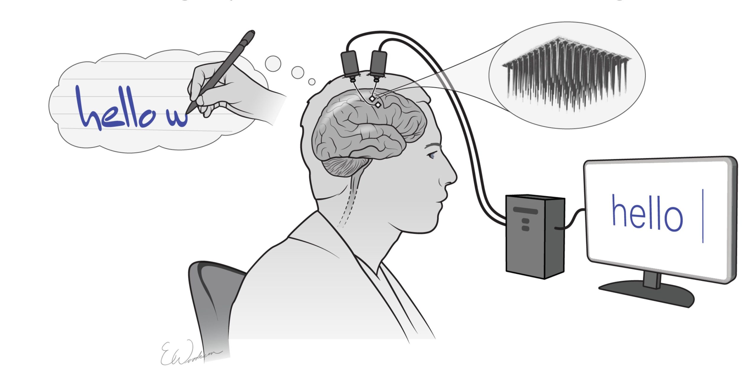 Brain-Computer Interface News